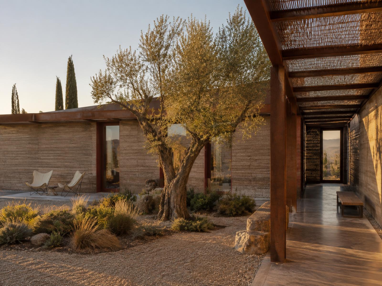 Rammed earth desert courtyard house with an olive tree and weathered steel pergola under low golden hour sun, rendered in V-Ray 7